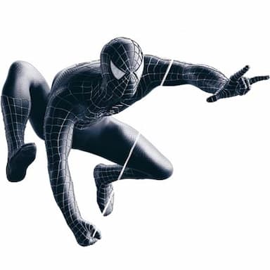 Spider-Man 3 Wall Graffix