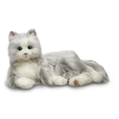 Silver Cat with White Mitts