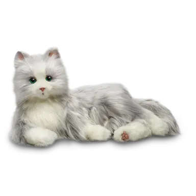 Silver Cat with White Mitts