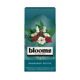 Blooms Snowdrop Petite Flower Bouquet Arts & Crafts Kit for Adults by Play-Doh