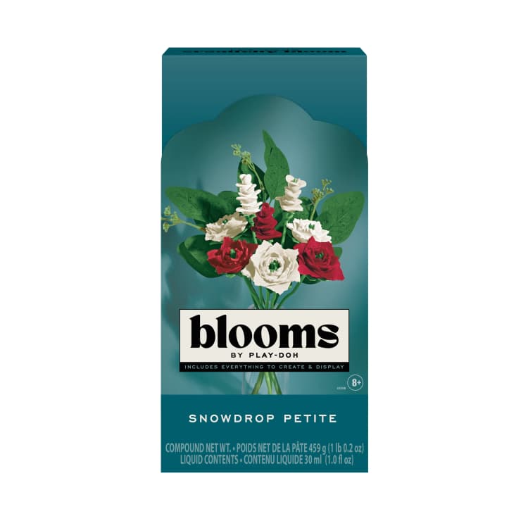 Blooms Snowdrop Petite Flower Bouquet Arts & Crafts Kit for Adults by Play-Doh